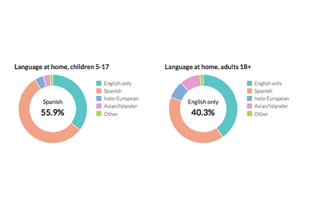 Donut charts visualizing language spoken at home as found on a Census Reporter profile page